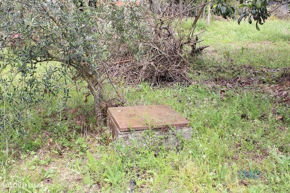 Lote de Terreno