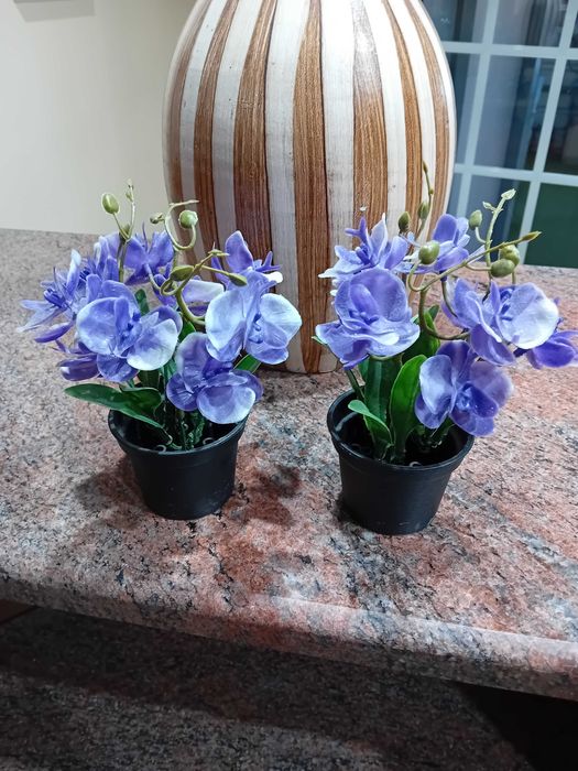 Conjunto objetos decoração