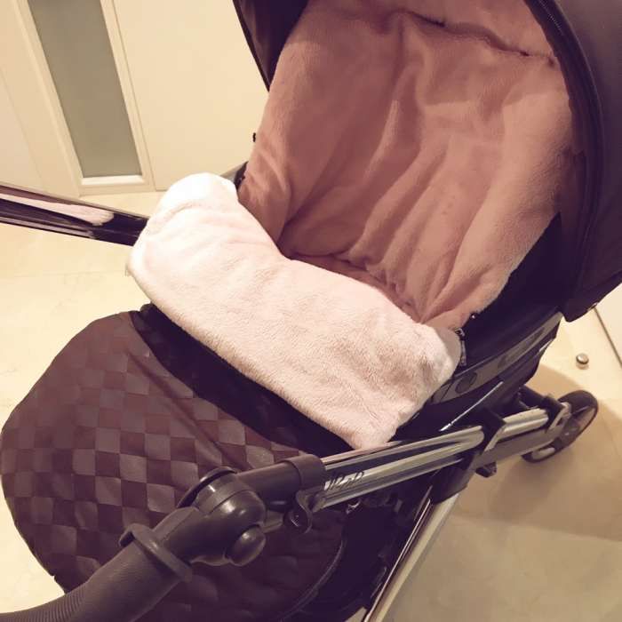 Winter Stroller Cover441442659855902722