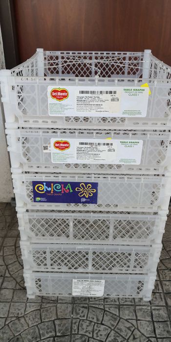 6 caixotes 51 cm X 40,5 cm X 11 cm