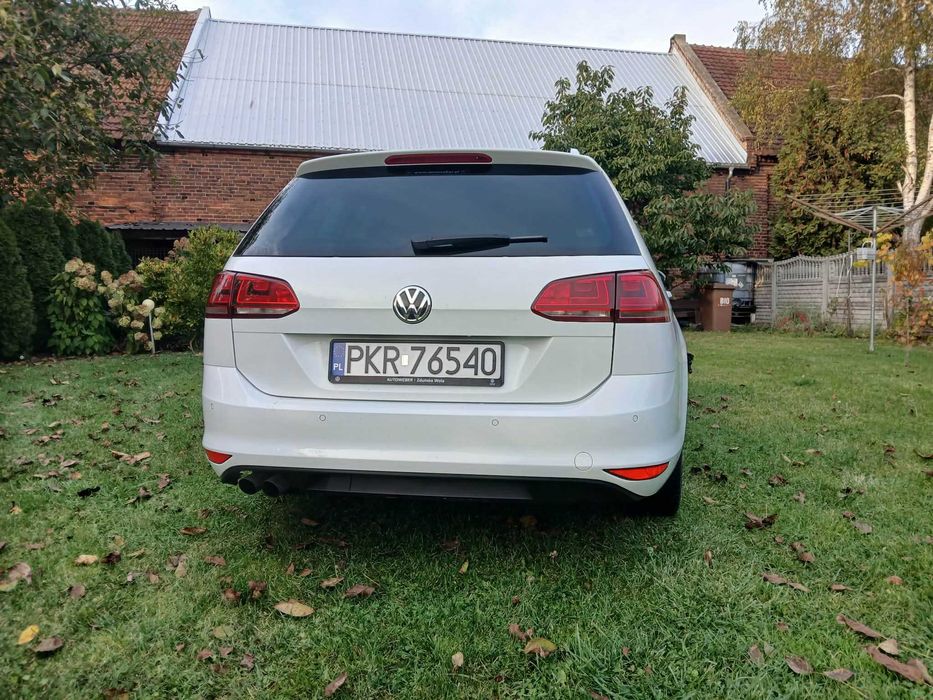 auto osobowe Golf 7