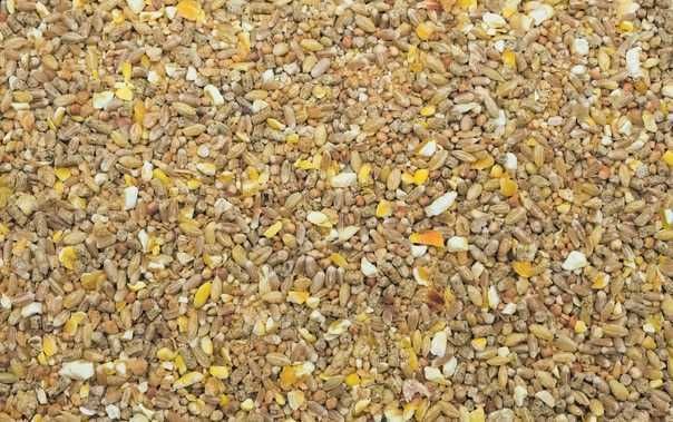 Mieszanka z witaminami dla przepiórki nioski, 10kg