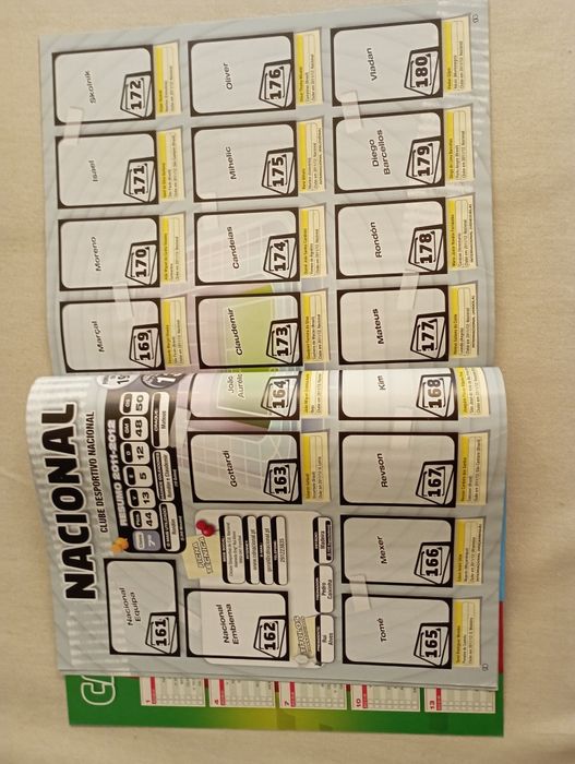 Panini Futebol 2012-13