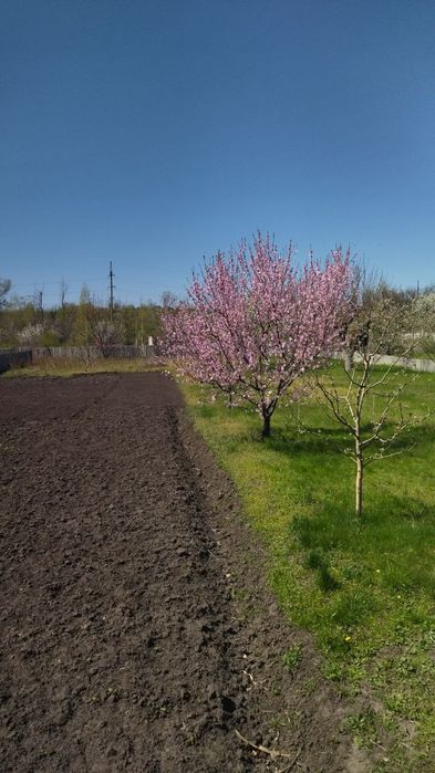 Продам дачу, 2 участка 20 соток с сезонными домиками