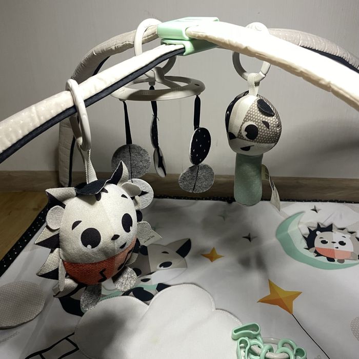 Розвиваючий килимок Tiny Love