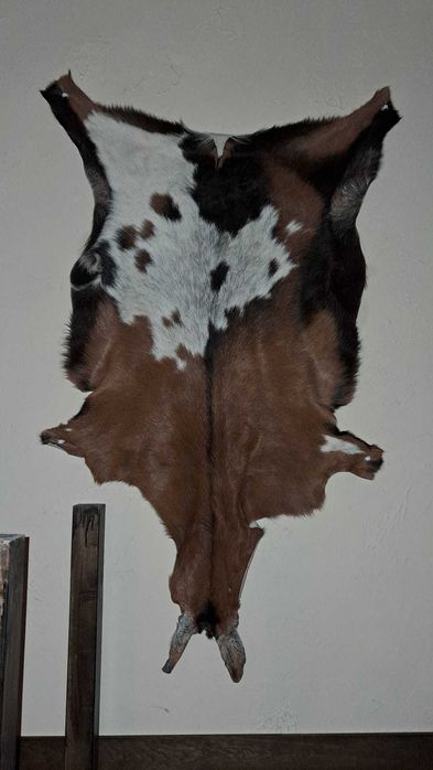Peles para Decoração