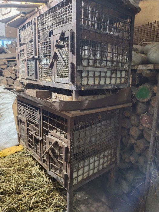 Клітки для кролів, курей, нутрій