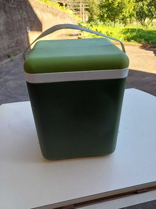 Conjunto de 2 malas térmicas usadas