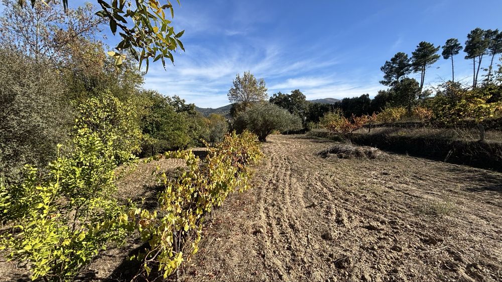 Terreno / Quinta no Freixial - Fundão
