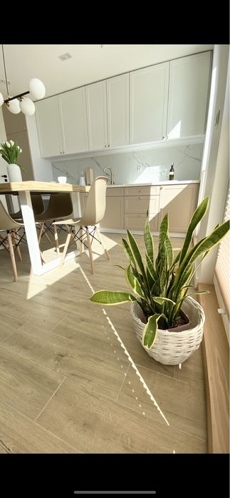 9-11.01 wolne balia sauna 4 sypialnie domek do wynajęcia kaszuby