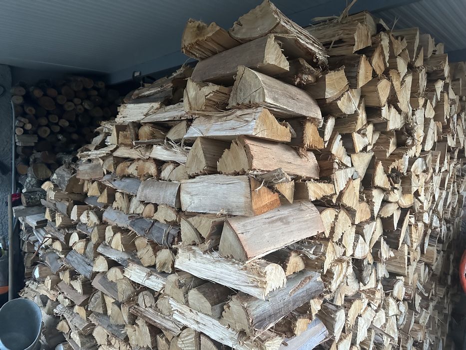 Lenha eucalipto seca