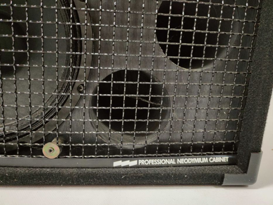 EBS NEO-212 NeoLine 212 kolumna basowa 600 W RMS- 8 Ohm