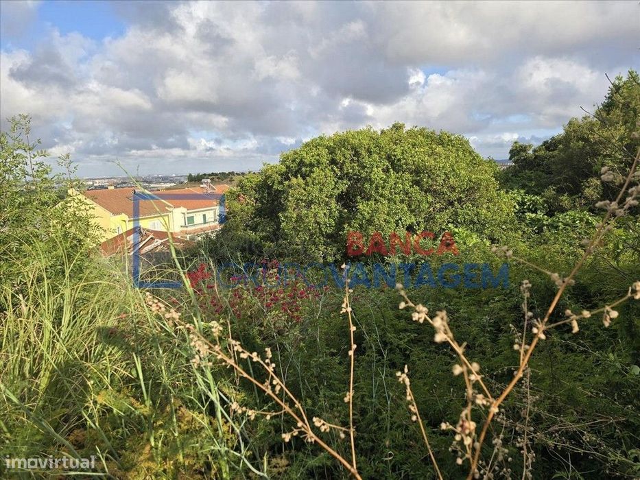 Loteamento Para Construção 703M2