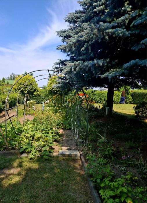 64 m² | parter | 300 m² ogrodu | garaż murowany Uzarzewo