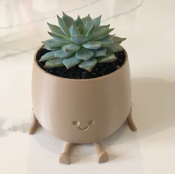 Smiling and Happy Flower Pot