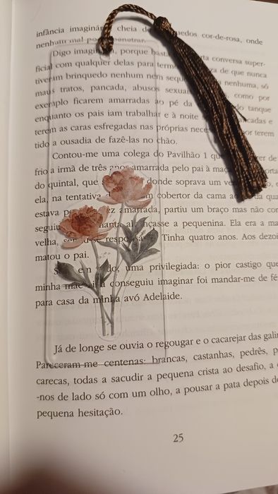 Marcadores de livros