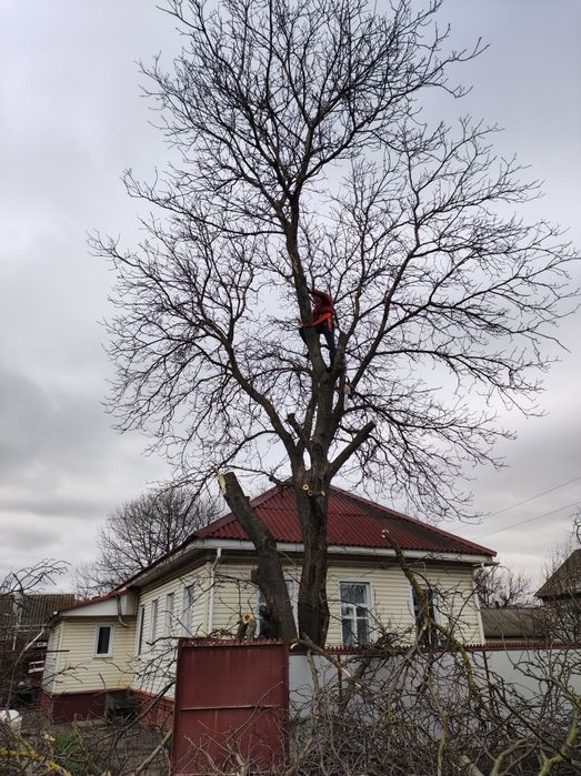 Оказываем услуги