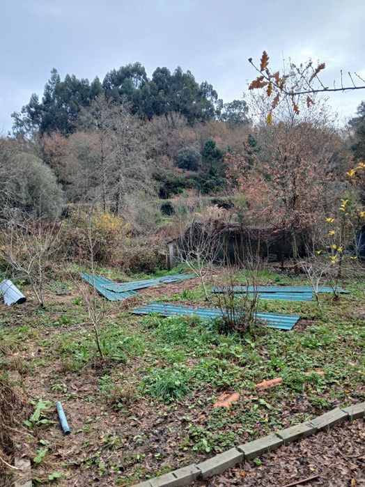 Placas de chapa simples