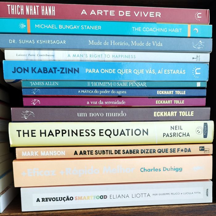 Conjunto de livros, temas diversos.