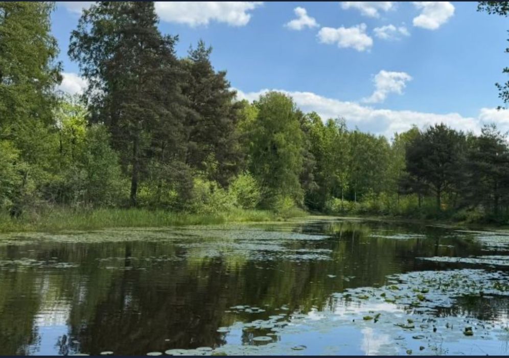 Działka ze stawami koło Grodziska Mazowieckiego - Widok 2