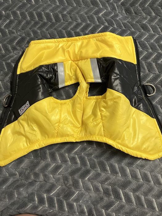 Одяг для песика