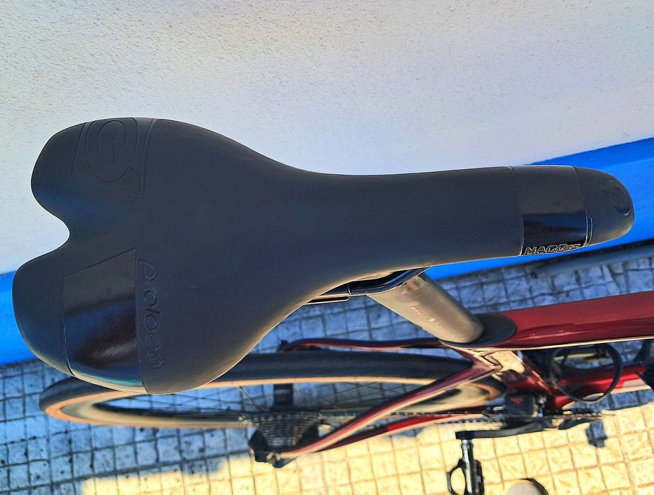 Selim Prologo - 20€