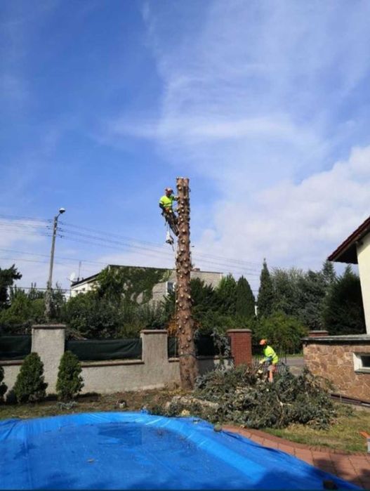 Alpinistyczna wycinka i pielęgnacja drzew Drwal Zwyżka 27m Żuraw HDS