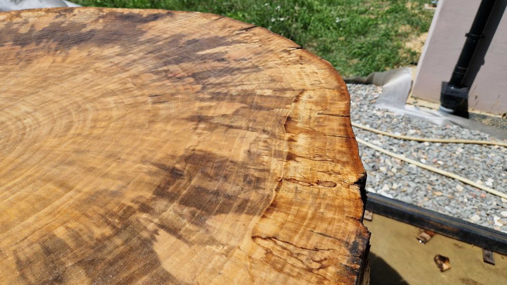 Topola plastry krążki live edge żywica PIĘKNE USŁOJENIE