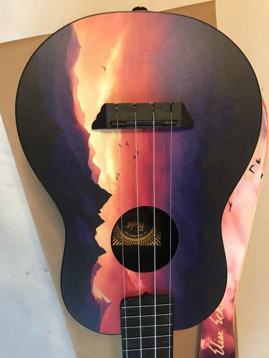 Ukulele concerto Flight Travel Elise Ecklund