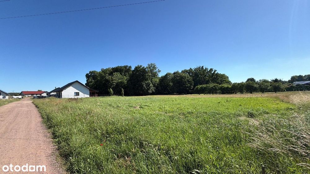 Działka budowlana 1494 m² Bierzwnik Warunki Zabudowy