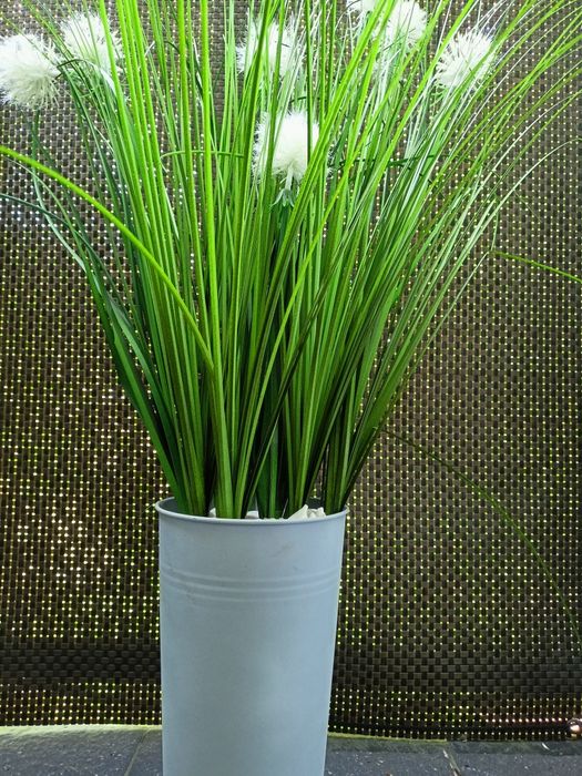 Trawa ozdobna w metalowej doniczce