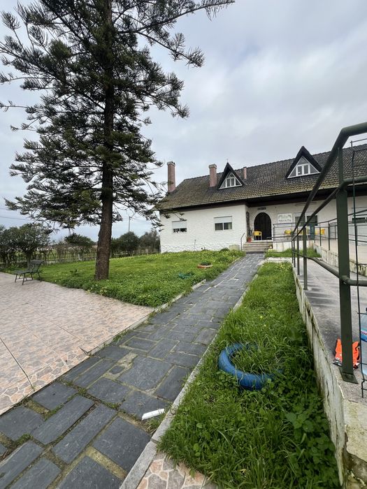 Limpeza de Terrenos LOW COST