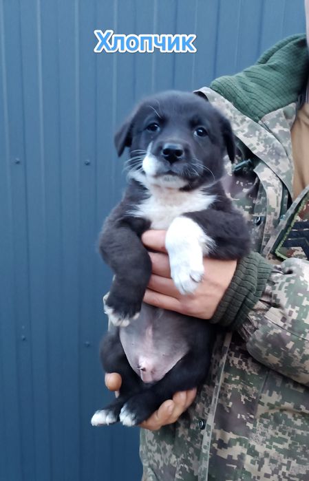 Дніпро! Терміново потрібна сім'я