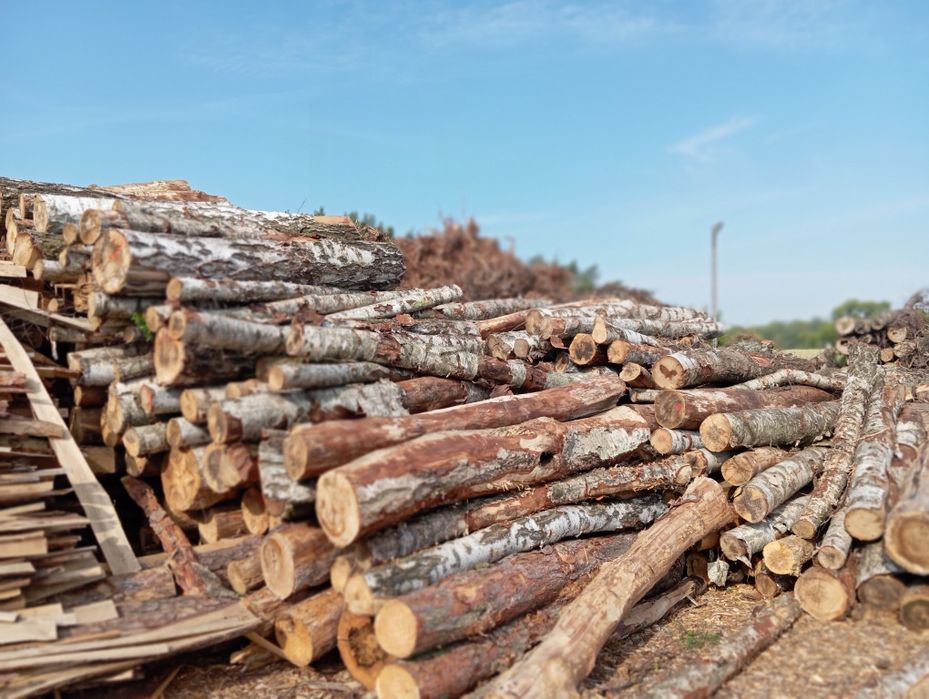 Sprzedam drewno opałowe kominkowe