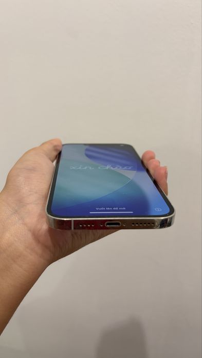 iphone 13 pro max 256 gb