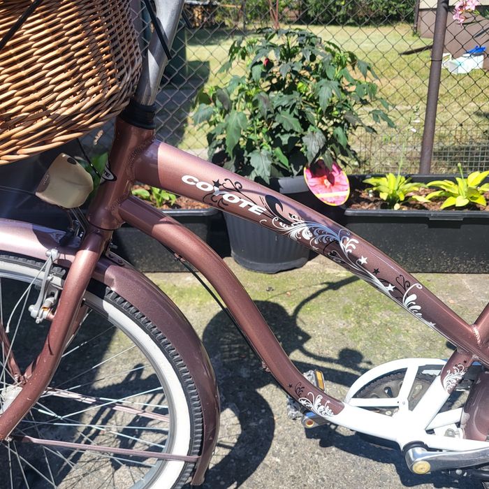 Rower Cruiser Coyote