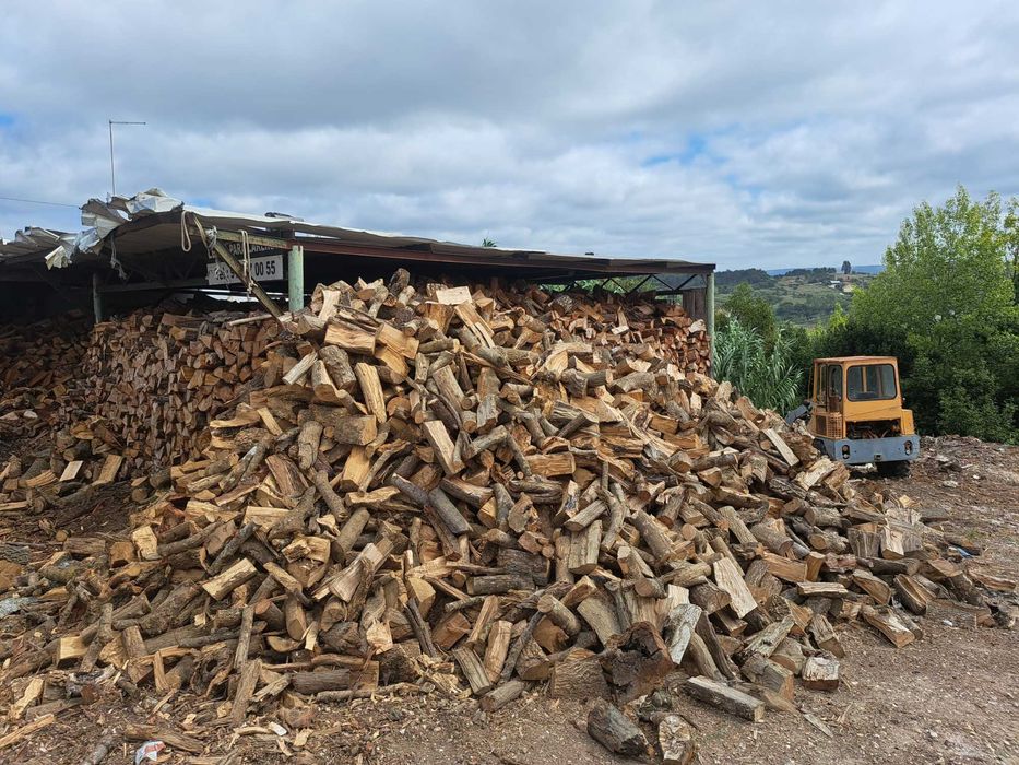 Lenha para recuperador salamandra  lareira  ect