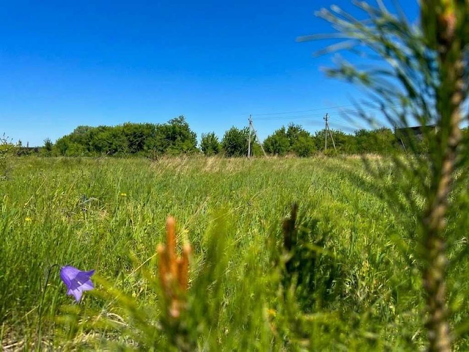 Продаж ділянки 10 соток під забудову. Електрика поруч. Новий масив. ID:804