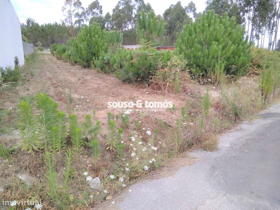Terreno Para Construção  Venda em Souto da Carpalhosa e Ortigosa,Leiri — Souto Da Carpalhosa E Ortigosa, Leiria