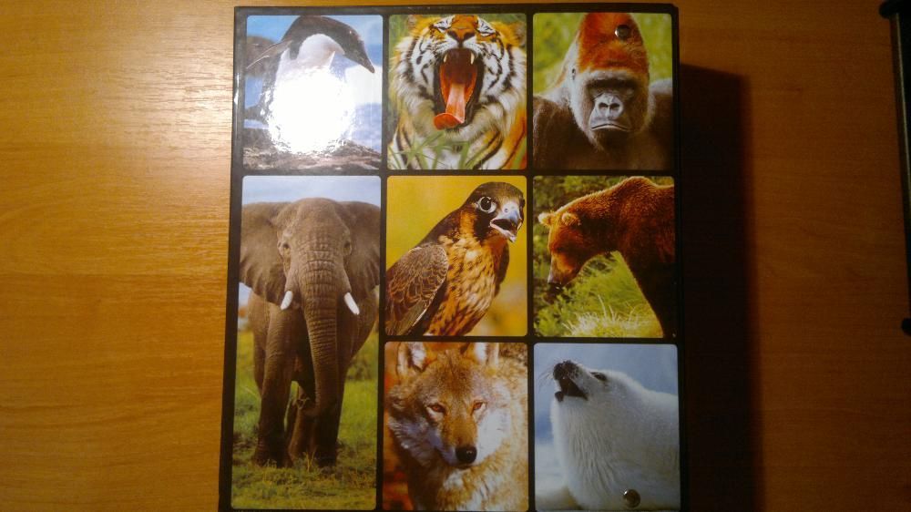 Английский язык, обучение + электронный переводчик