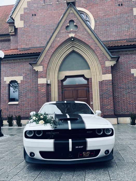 Samochód do ślubu/Auto na wynajem / Dodge Challenger