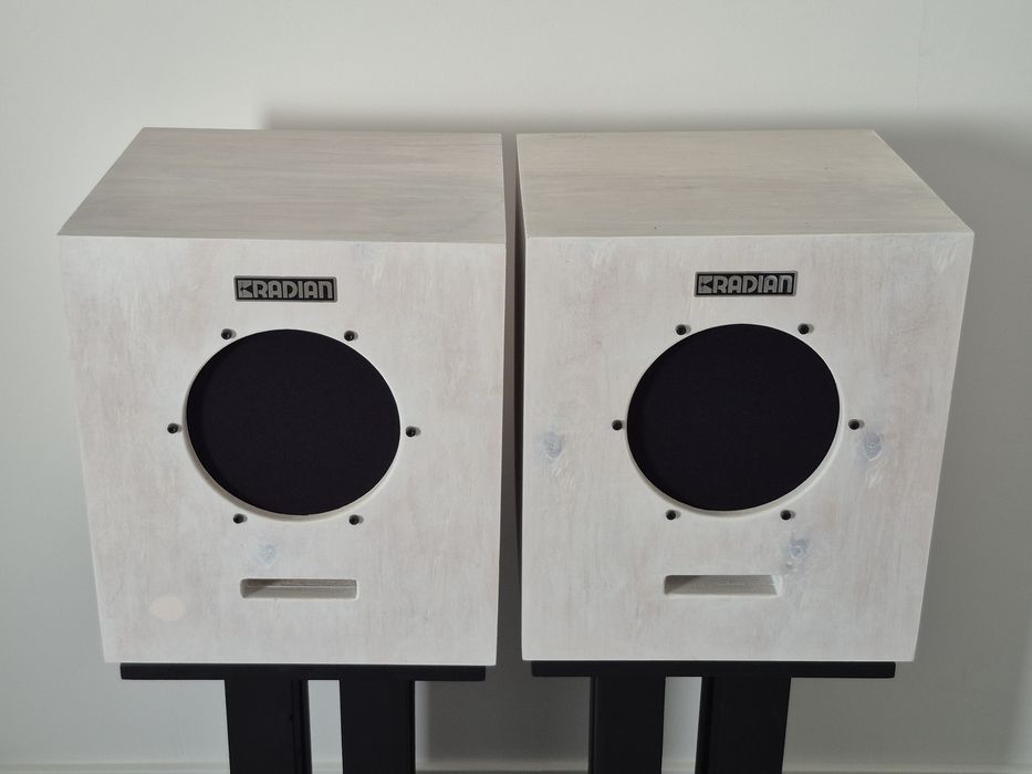 Colunas coaxial 8" Radian 5208 OJAS Speakers