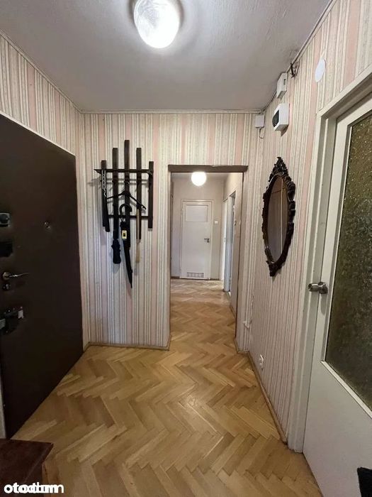 Zdjęcie 8