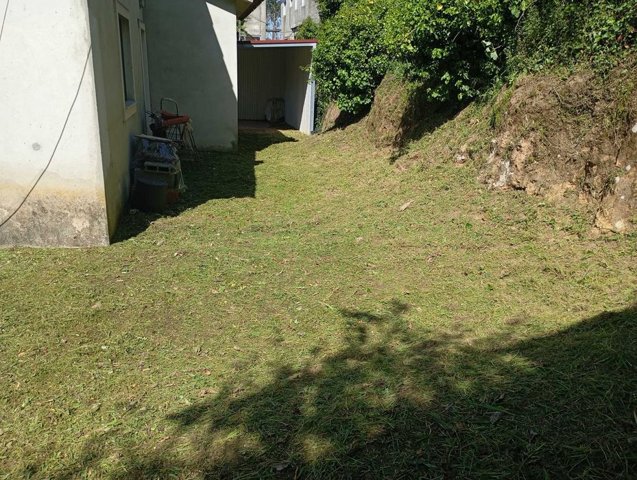 Limpeza de terrenos agrícolas