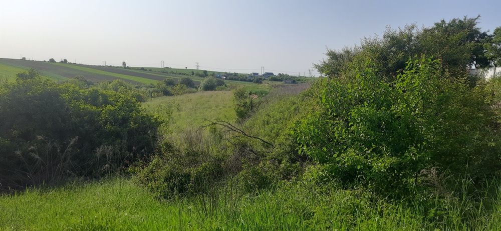 Земельна ділянка в с. Обарів