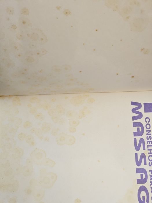 Livro 1000 conselhos para dar massagens