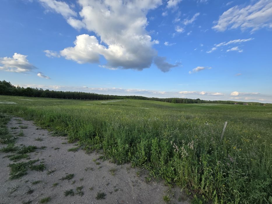 Działka Mazury 9,8 ara z warunkami zabudowy !