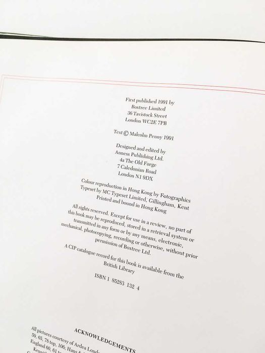 Alligators & Crocodiles