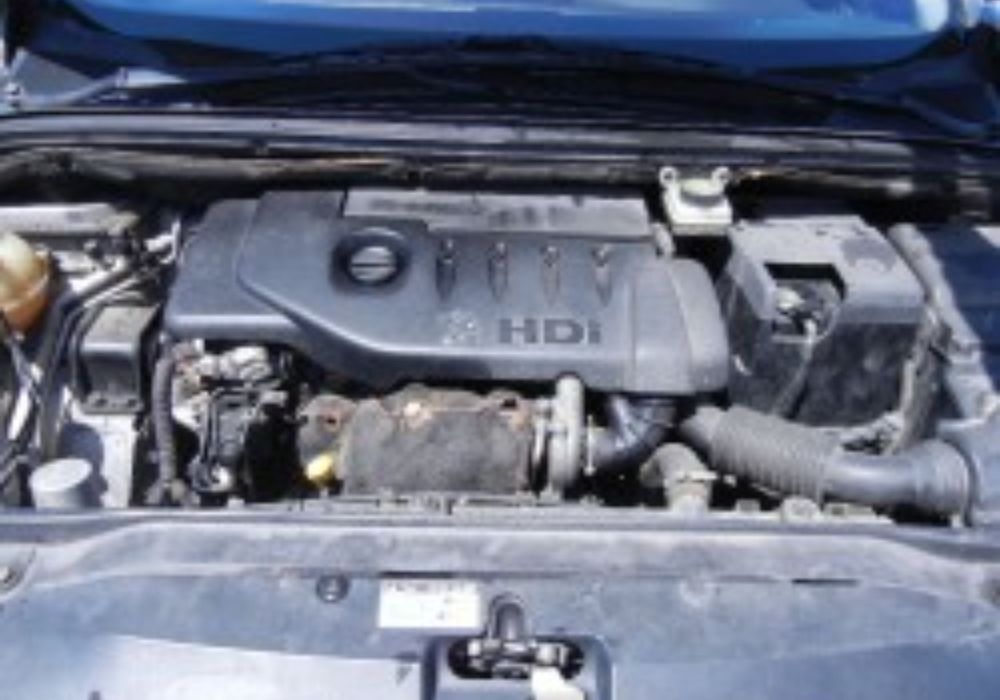 Motor Peugeot/ Citroen 1.4 hdi 8HZ Bosch