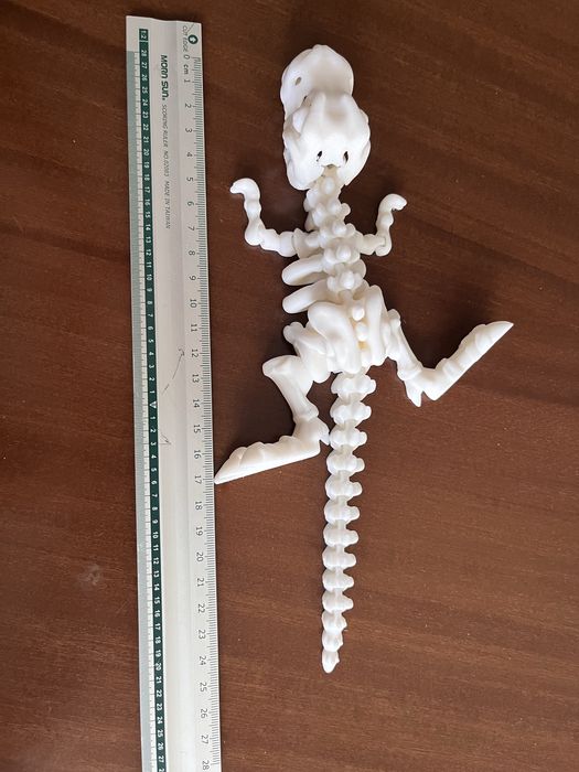 Szkielet dinozaura  T-Rex